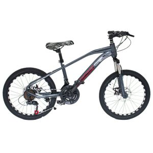 Bicicleta Mountain Bike Fiat Rodado 20 con 21 Vel