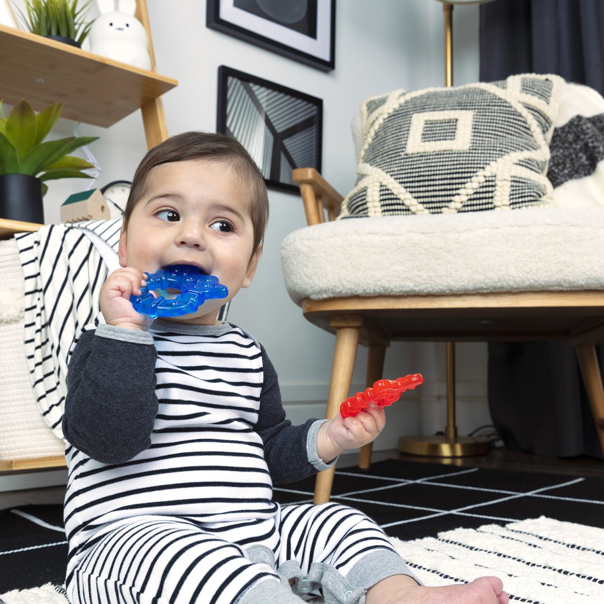 Juego Mordedores Animales Marinos Bebe Baby Einstein 16773 - Imagen 5